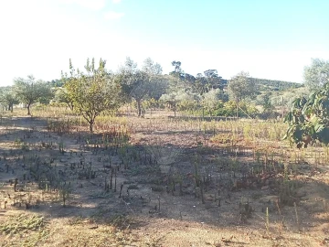 Moradia T5 para Venda em Manique do Intendente, Vila Nova de São Pedro e Maçussa