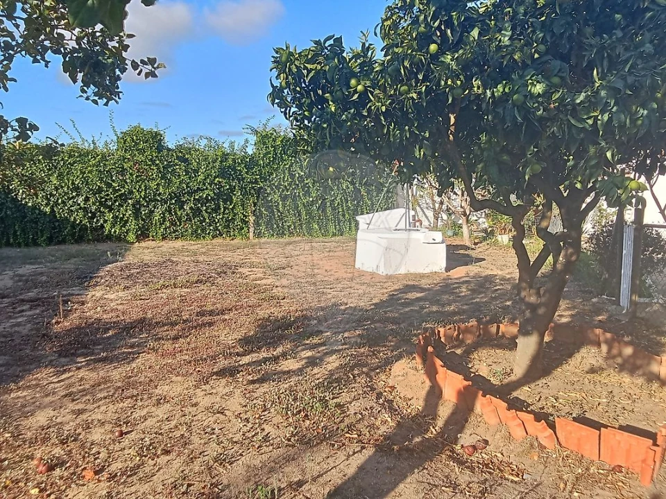 Moradia T5 para Venda em Manique do Intendente, Vila Nova de São Pedro e Maçussa Foto 35
