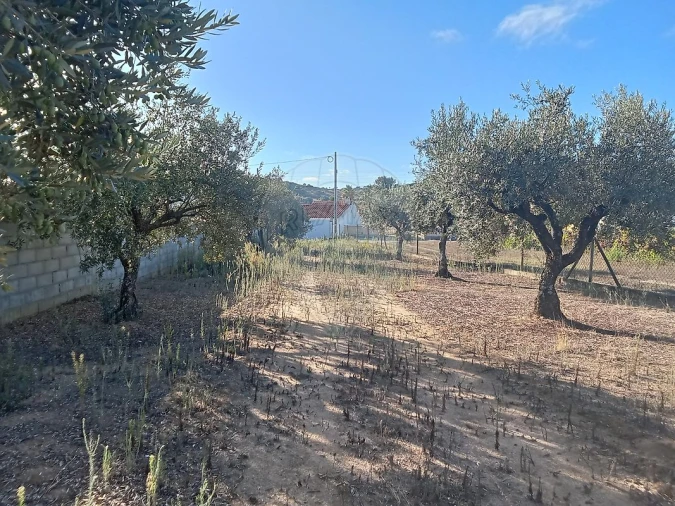 Moradia T5 para Venda em Manique do Intendente, Vila Nova de São Pedro e Maçussa Foto 44