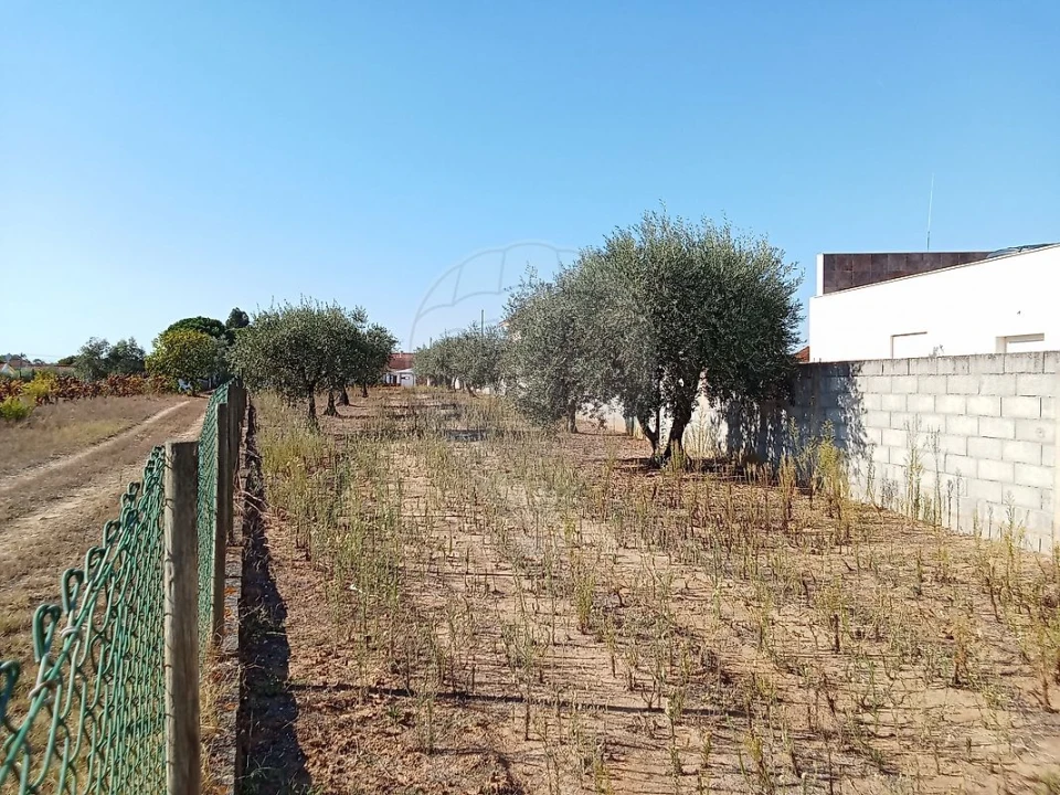 Moradia T5 para Venda em Manique do Intendente, Vila Nova de São Pedro e Maçussa Foto 48