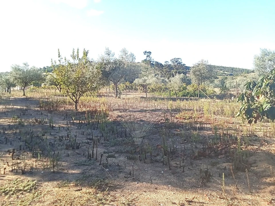 Moradia T5 para Venda em Manique do Intendente, Vila Nova de São Pedro e Maçussa Foto 43