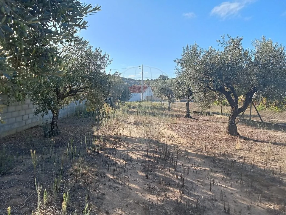 Moradia T5 para Venda em Manique do Intendente, Vila Nova de São Pedro e Maçussa Foto 44