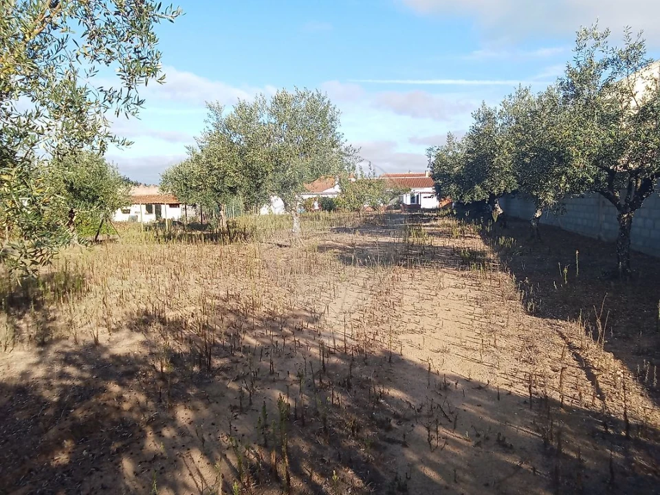 Moradia T5 para Venda em Manique do Intendente, Vila Nova de São Pedro e Maçussa Foto 46