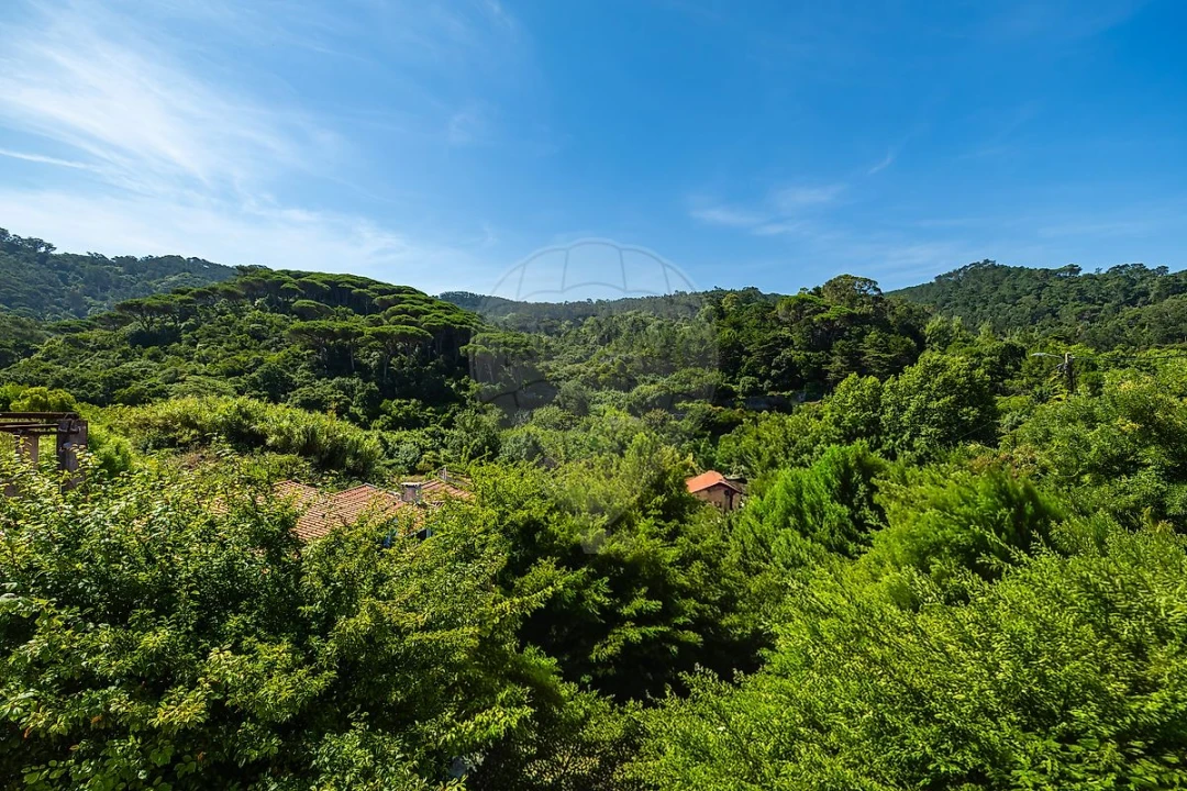 Moradia T4 para Venda em Santa Maria e São Miguel, São Martinho, São Pedro Penaferrim Foto 49