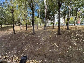 Apartamento T2 para Venda em Massamá e Monte Abraão