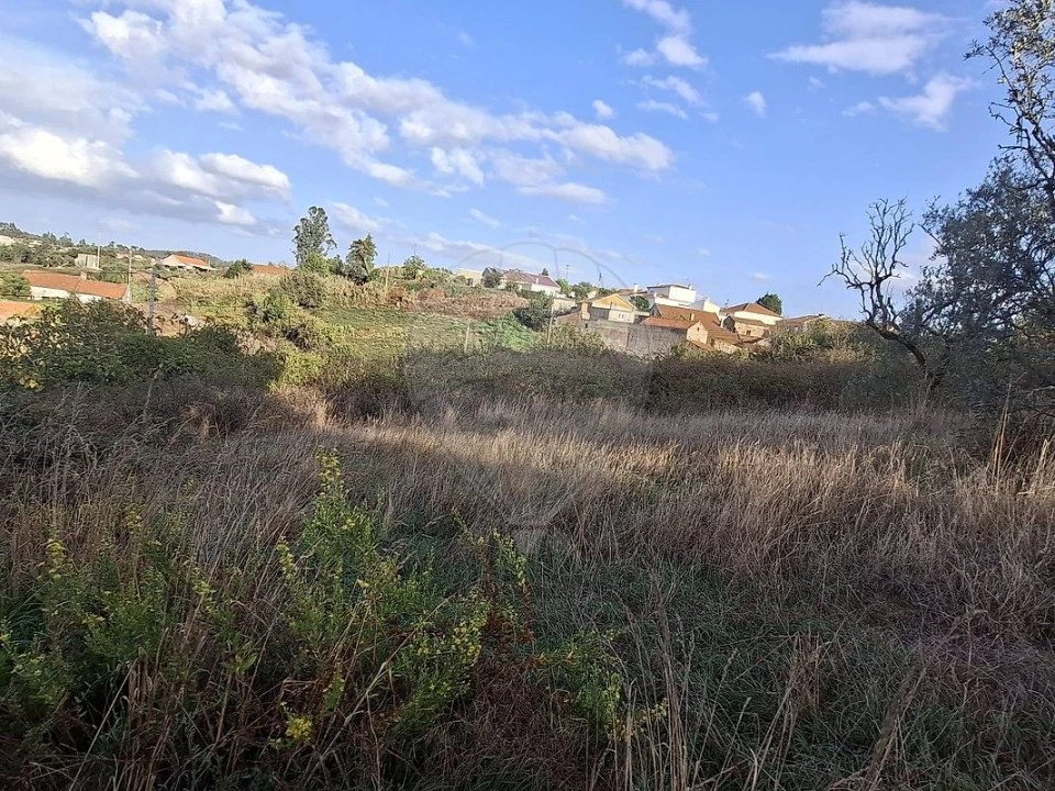 Terreno para Venda em Carvalhal Benfeito Foto 12