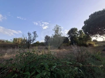 Terreno para Venda em Carvalhal Benfeito