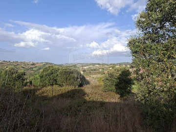 Terreno para Venda em Carvalhal Benfeito