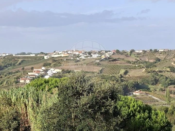 Terreno para Venda em Carvalhal Benfeito