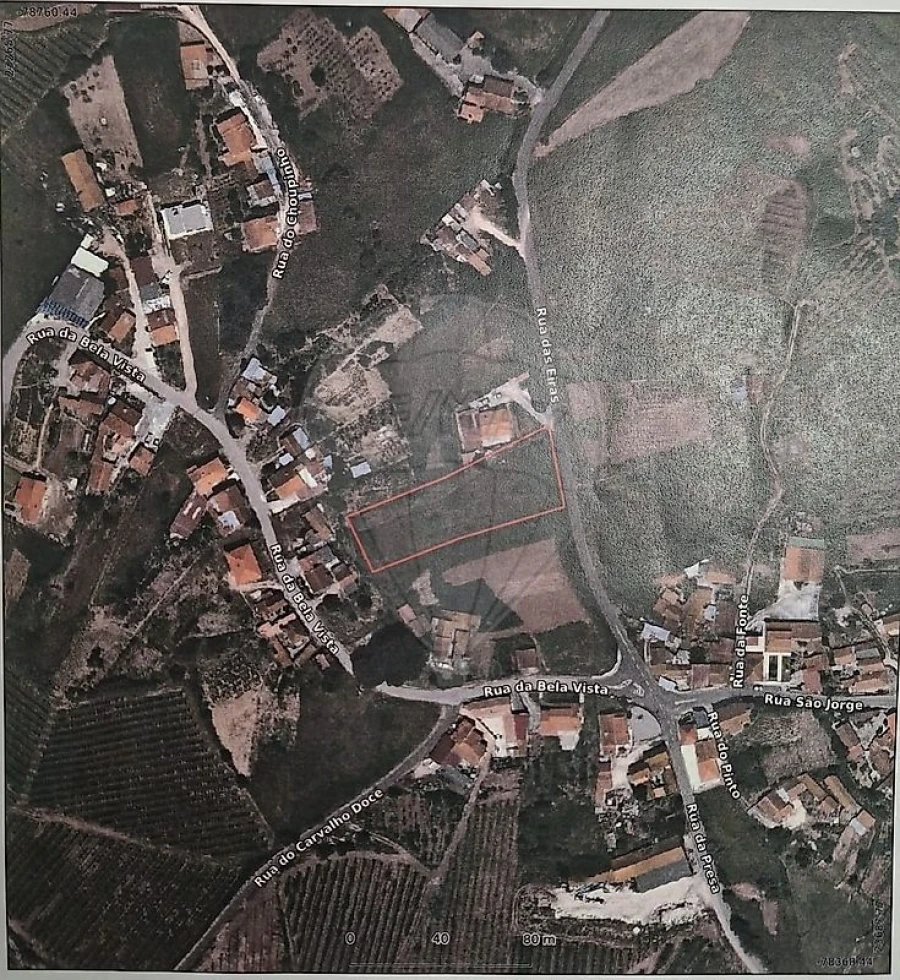 Terreno para Venda em Carvalhal Benfeito Foto 9