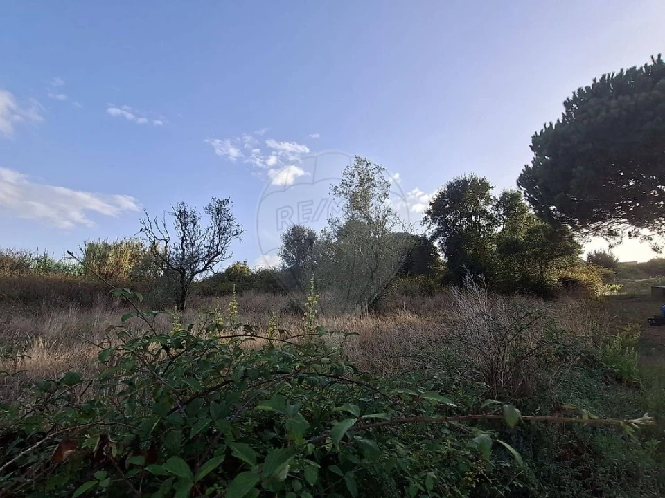 Terreno para Venda em Carvalhal Benfeito Foto 4