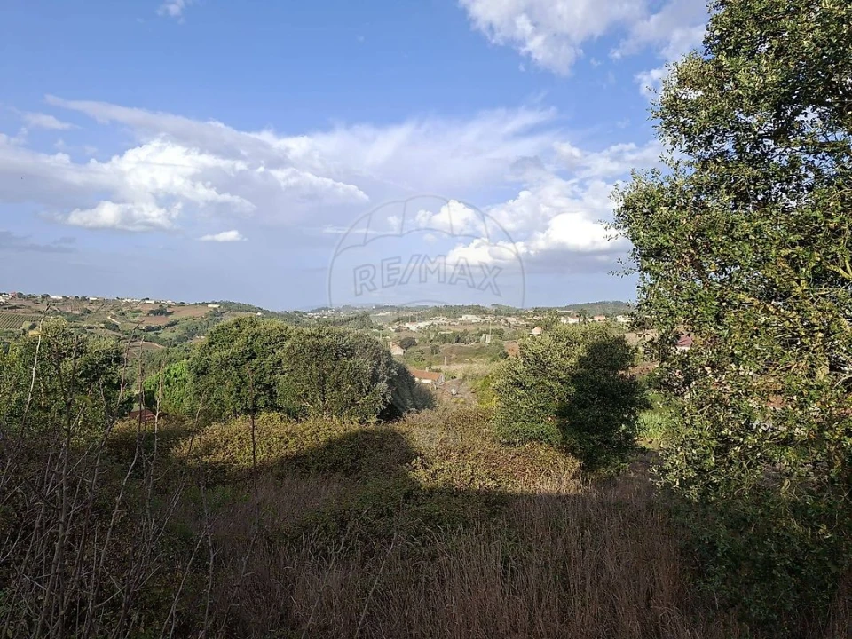 Terreno para Venda em Carvalhal Benfeito Foto 1