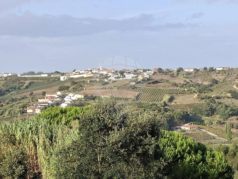 Terreno para Venda em Carvalhal Benfeito Foto 2
