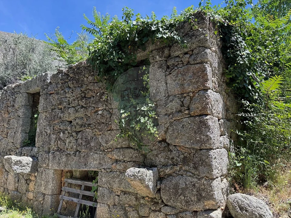 Armazém para Venda em Vale de Prazeres e Mata da Rainha Foto 7