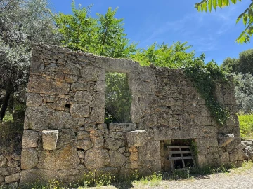 Armazém para Venda em Vale de Prazeres e Mata da Rainha