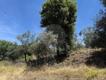 Armazém para Venda em Vale de Prazeres e Mata da Rainha
