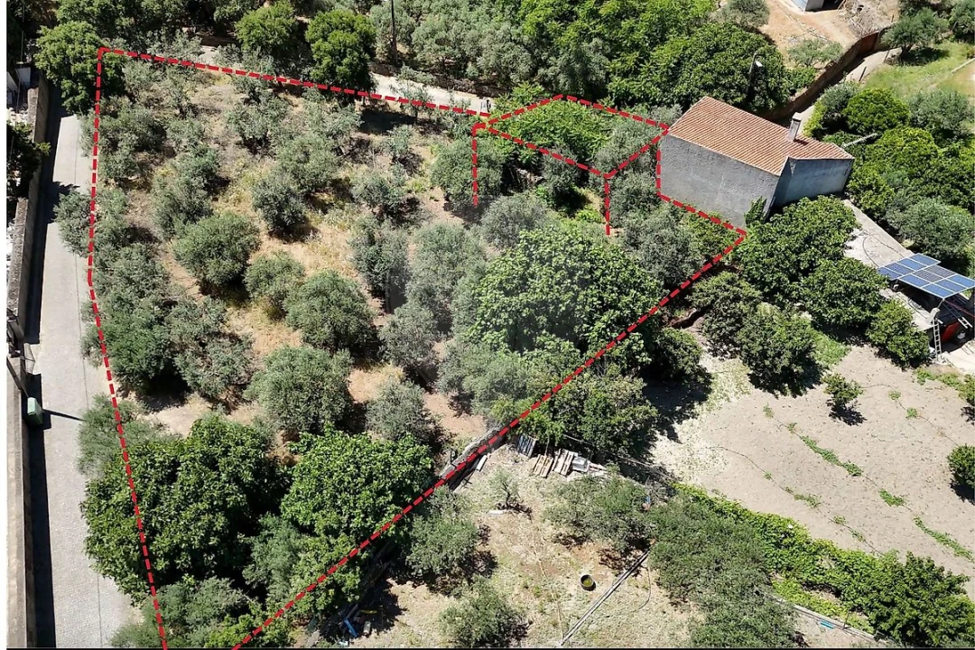 Armazém para Venda em Vale de Prazeres e Mata da Rainha Foto 1