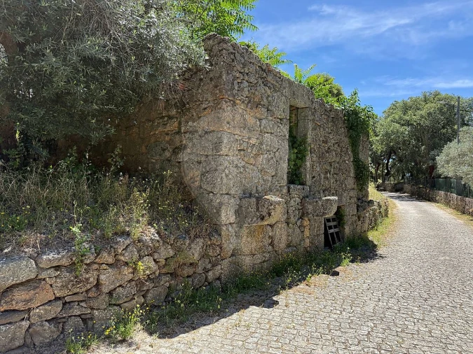 Armazém para Venda em Vale de Prazeres e Mata da Rainha Foto 3
