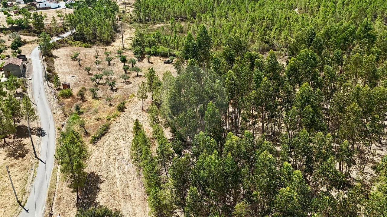 Terreno para Venda em Sarzedas Foto 11