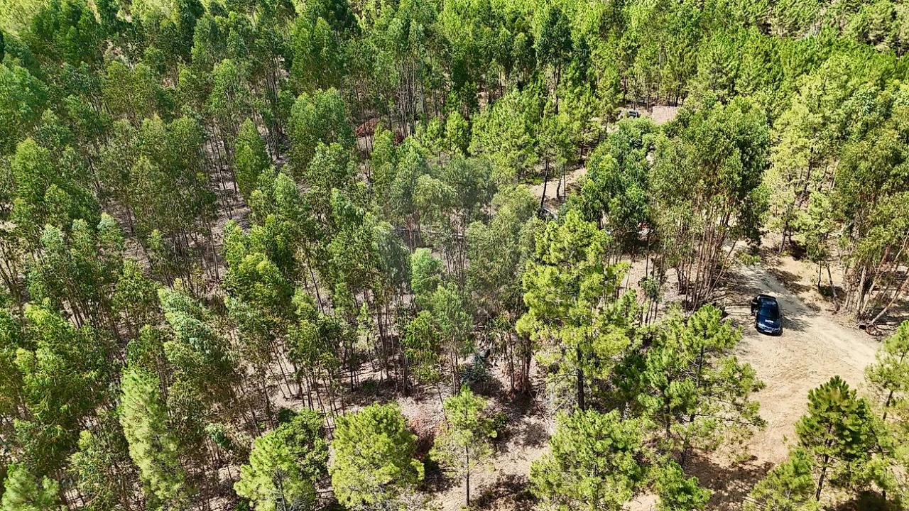 Terreno para Venda em Sarzedas Foto 5