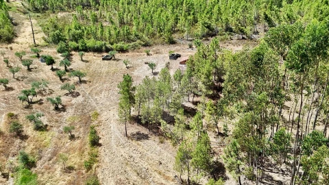 Terreno para Venda em Sarzedas
