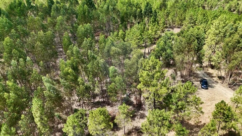 Terreno para Venda em Sarzedas