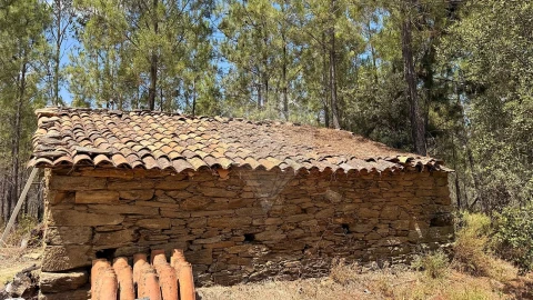 Terreno para Venda em Sarzedas
