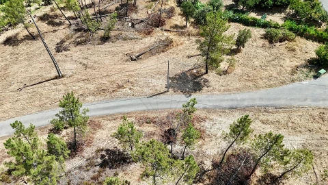 Terreno para Venda em Sarzedas