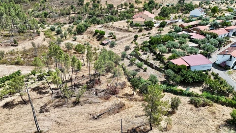 Terreno para Venda em Sarzedas
