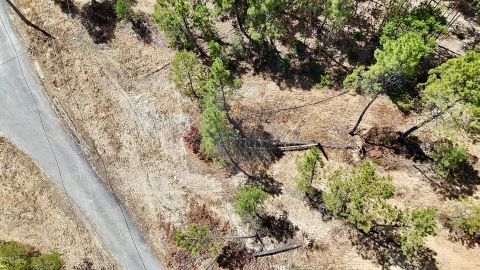 Terreno para Venda em Sarzedas