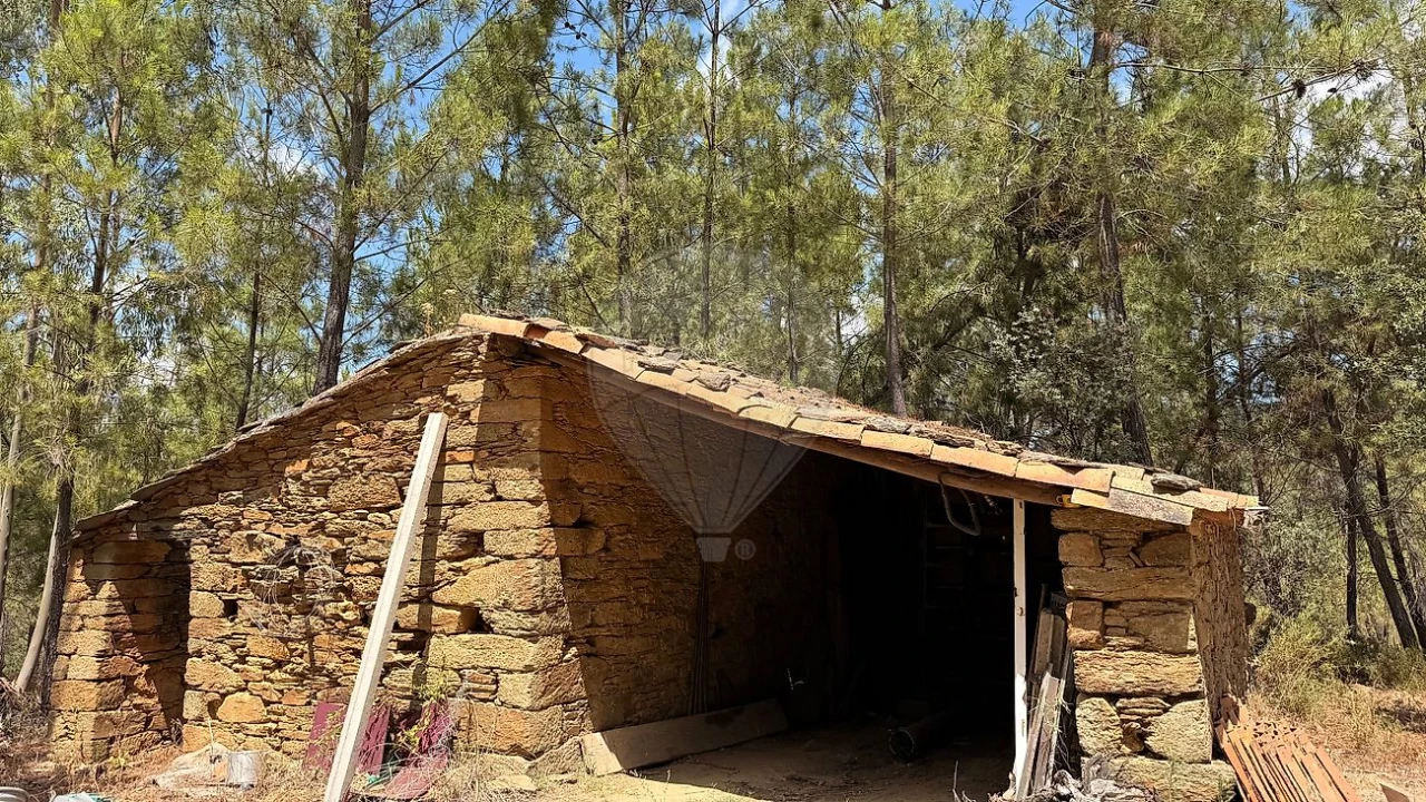 Terreno para Venda em Sarzedas Foto 33