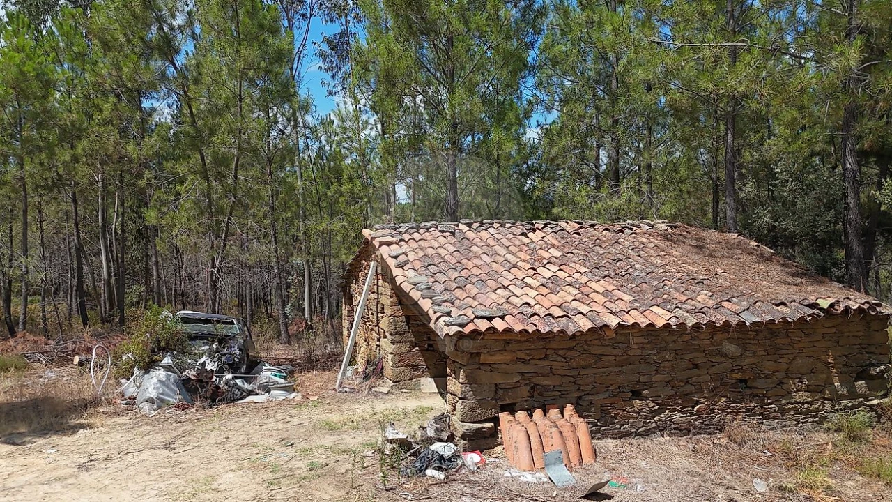 Terreno para Venda em Sarzedas Foto 29