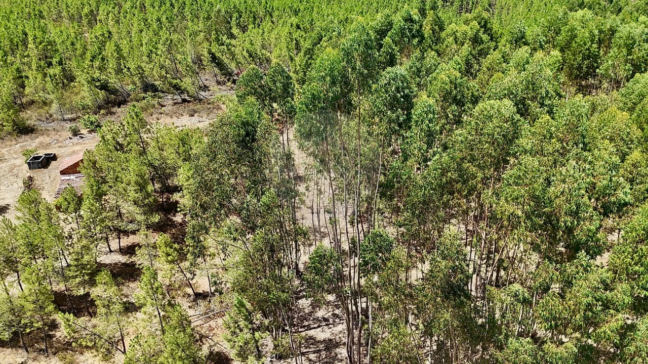 Terreno para Venda em Sarzedas Foto 22