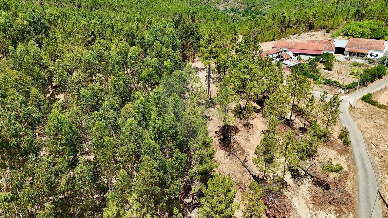 Terreno para Venda em Sarzedas Foto 24