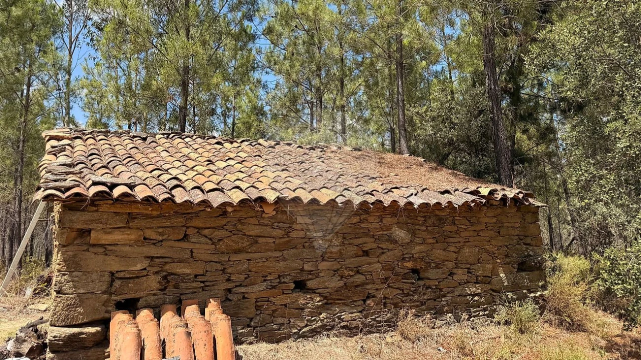 Terreno para Venda em Sarzedas Foto 34