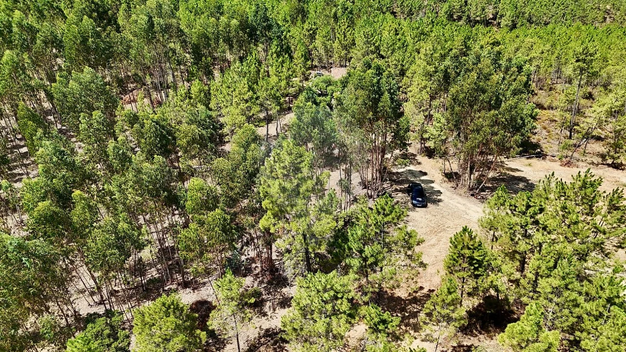 Terreno para Venda em Sarzedas Foto 4