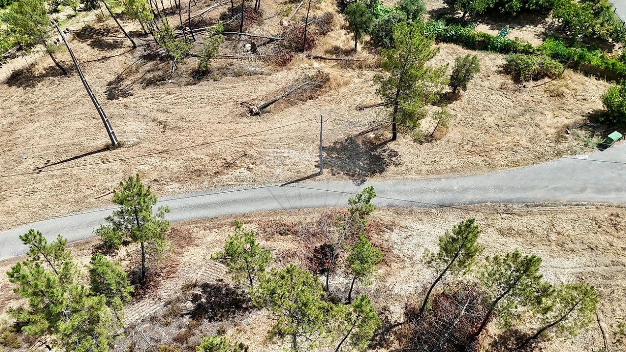 Terreno para Venda em Sarzedas Foto 9