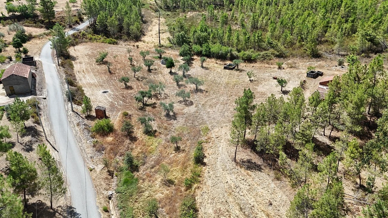 Terreno para Venda em Sarzedas Foto 16