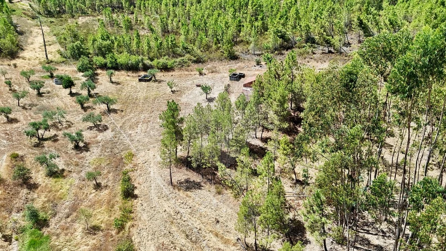 Terreno para Venda em Sarzedas Foto 17