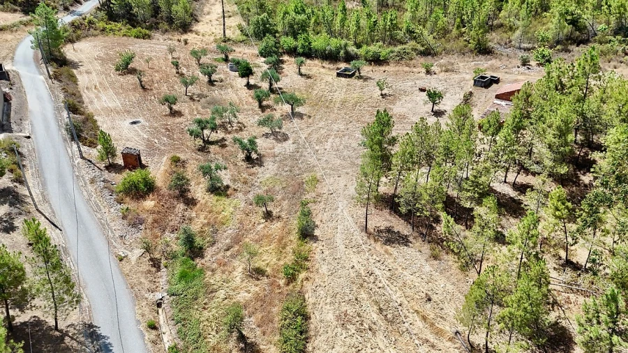 Terreno para Venda em Sarzedas Foto 19