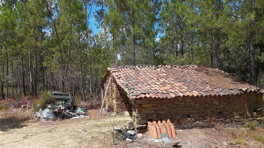 Terreno para Venda em Sarzedas Foto 29