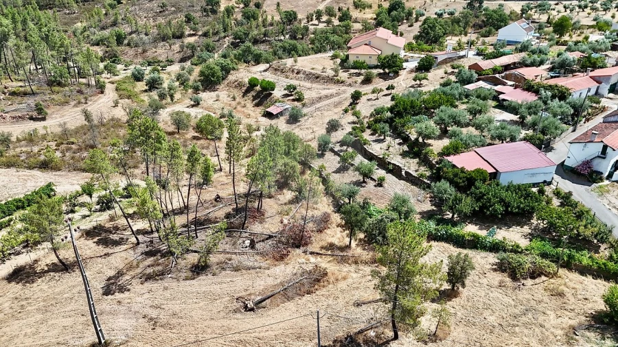 Terreno para Venda em Sarzedas Foto 6