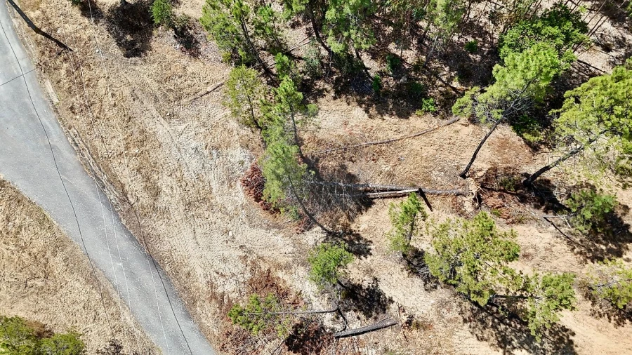Terreno para Venda em Sarzedas Foto 13