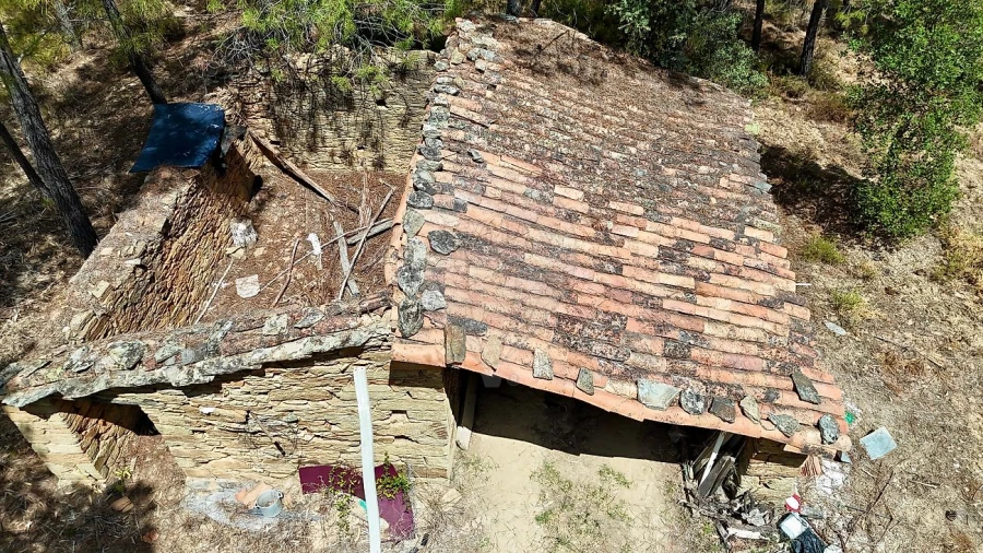 Terreno para Venda em Sarzedas Foto 27