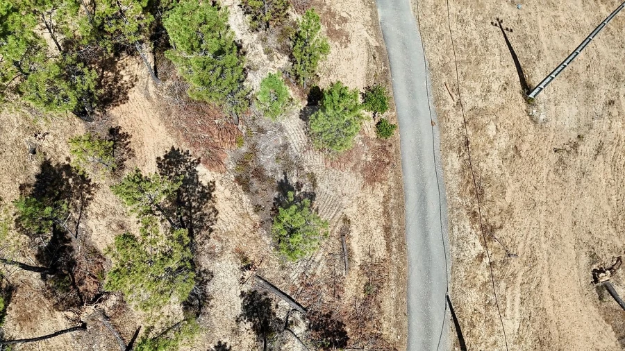 Terreno para Venda em Sarzedas Foto 12