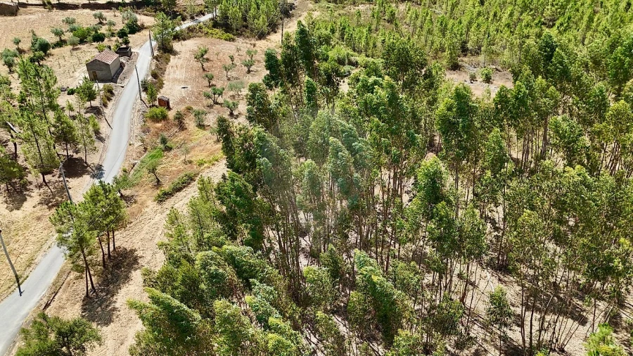 Terreno para Venda em Sarzedas Foto 8