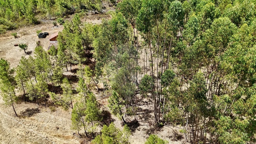Terreno para Venda em Sarzedas Foto 21