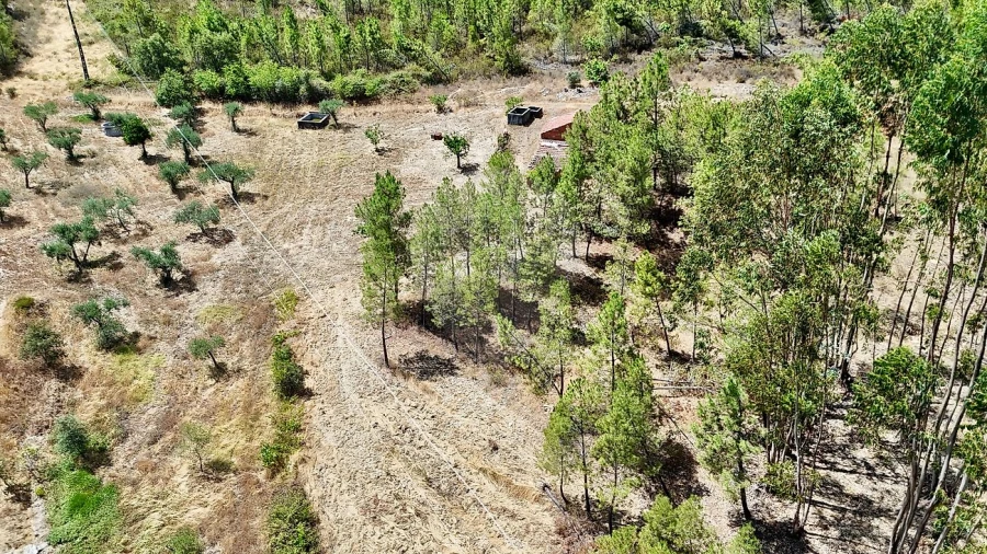 Terreno para Venda em Sarzedas Foto 20