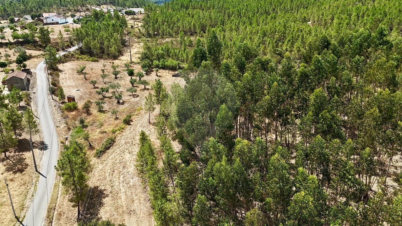 Terreno para Venda em Sarzedas Foto 15
