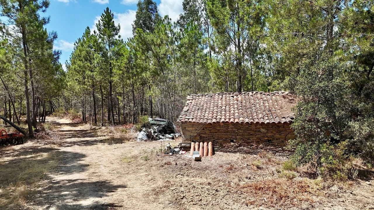 Terreno para Venda em Sarzedas Foto 26